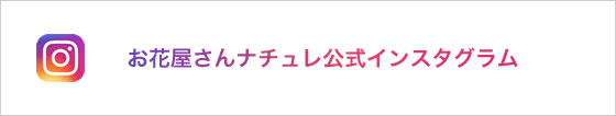 お花屋さんナチュレ公式インスタグラム