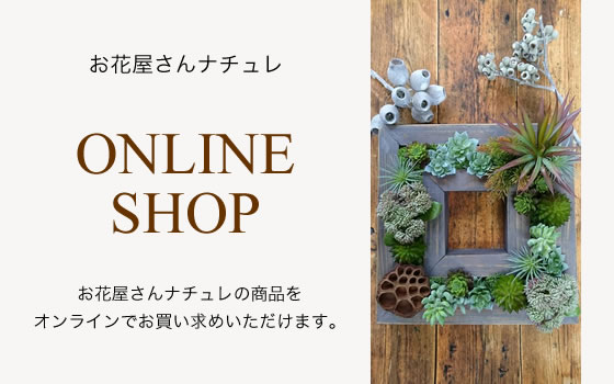 ONLINE SHOP